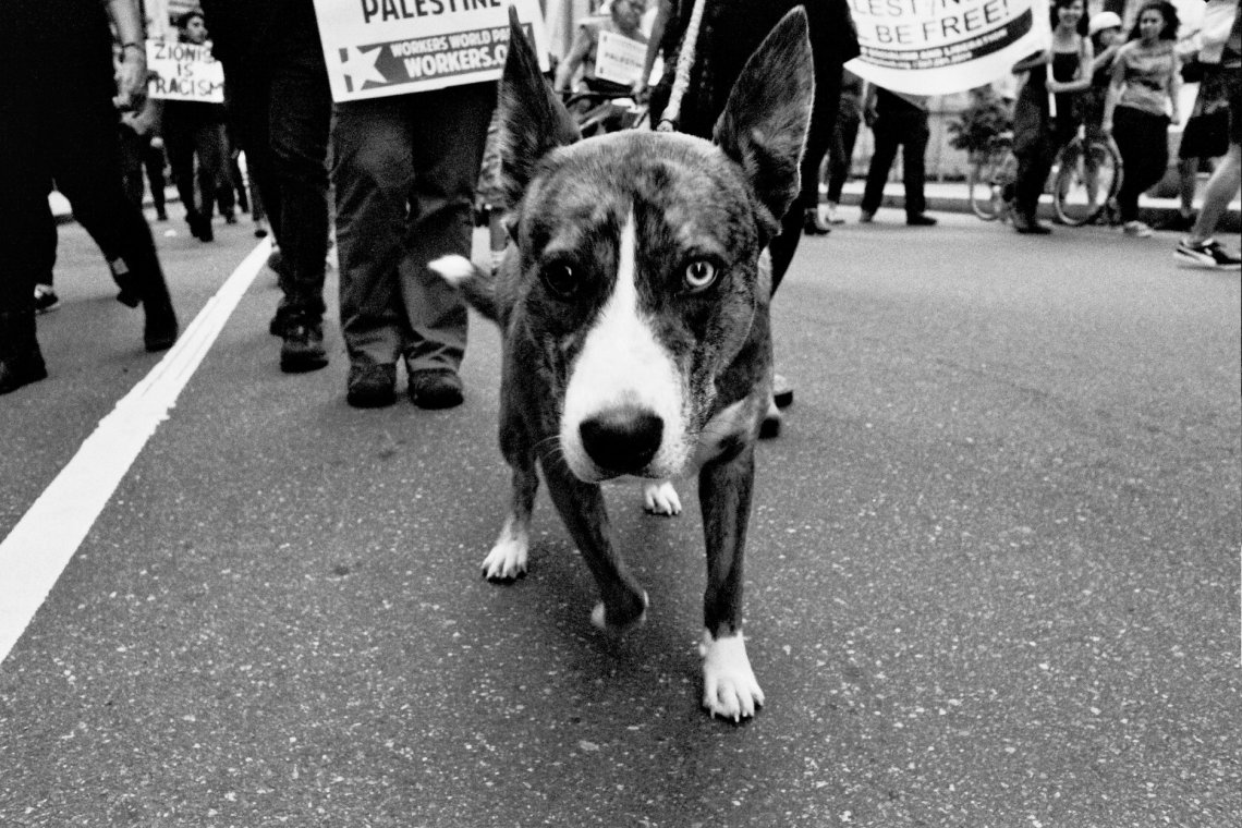 33145790_10155605847161868_8027606189065895936_o