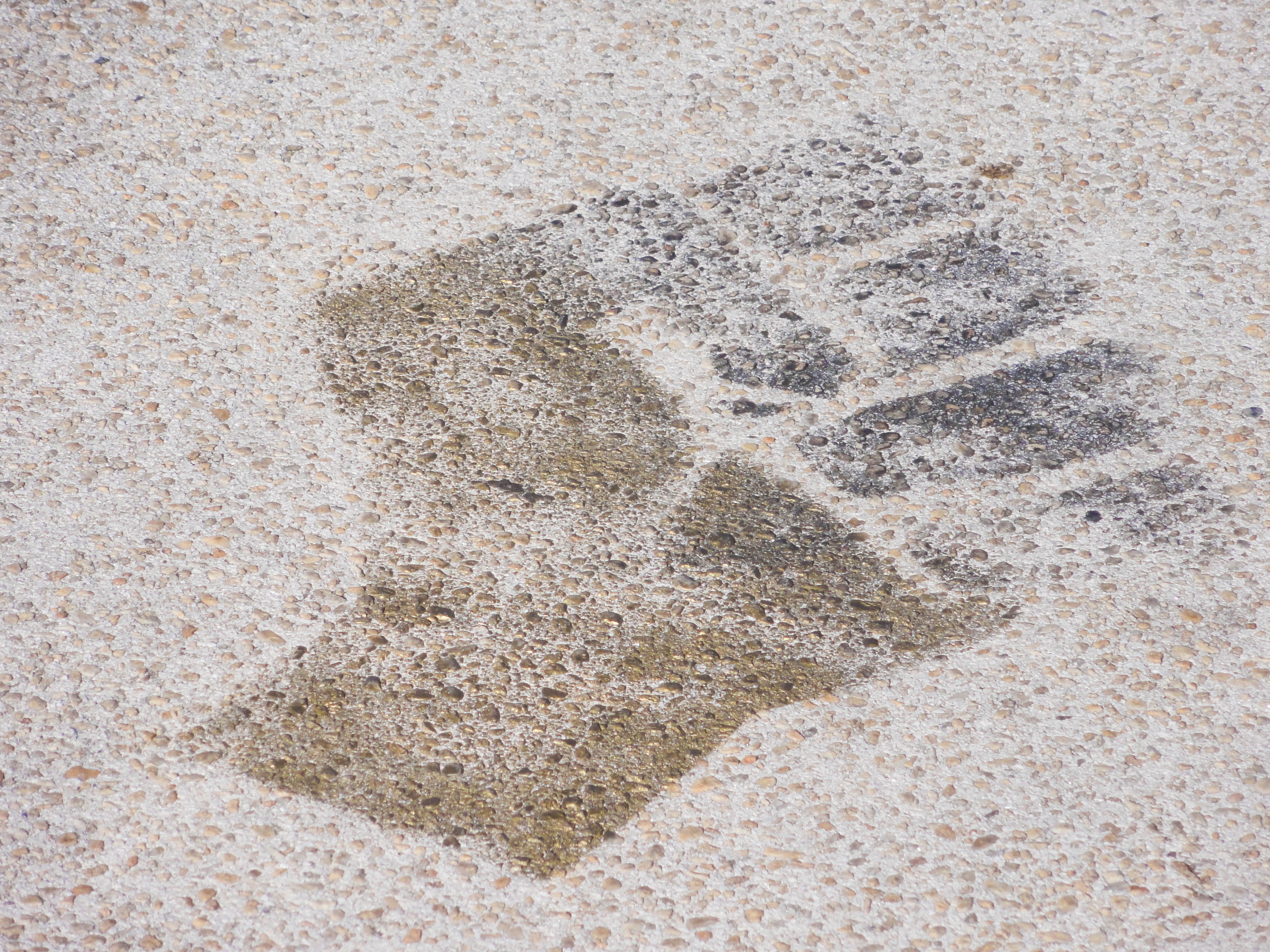 stencil of the Black Power fist on the ground
