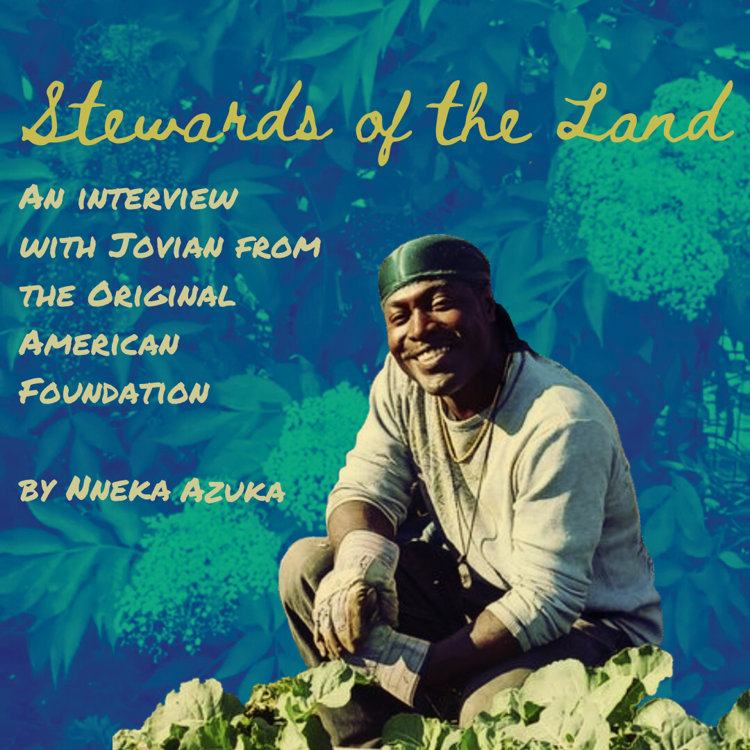 A photo of Jovian tending to some leafy crops at the OAF community garden. The background is a green-hued photo of some leaves and branches. The text says "Stewards of the Land: An Interview with Jovian of the Original American Foundation, by Nneka Azuka"